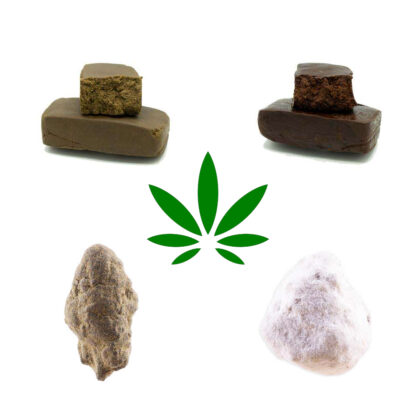 CBD Hash – Provpaket